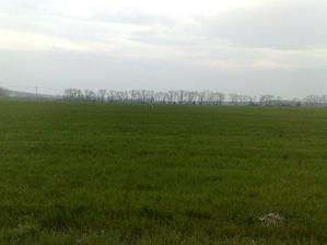 srnky vedla pozemku
