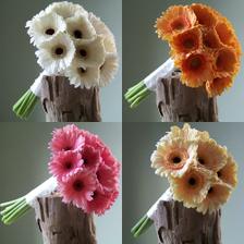 má nejoblíbenější květina... gerbera