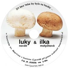 naše svatební oznámení - je to CD:0), na které jsem svatebčanům uložili vše potřebné ohledně svatby (místo svatby s mapou pro přespolní, seznam svatebích darů, kontakty...)