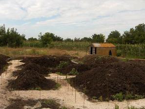 29.7.05 sme do zakladov 17,5x16,5 dali 10 domiesavacov