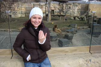 Zoo Praha Trója - žádost o mou ruku...
