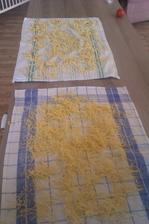 domácí nudle a tagliatelle