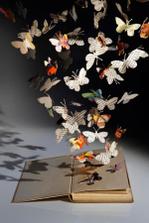 butterfly effect