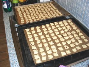 Zkouska peceni , Diky Roberte a Milane