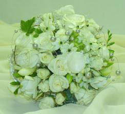 Zeleno-bílá (Green and white)