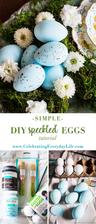 http://celebratingeverydaylife.com/diy-speckled-eggs-easy-easter-craft/