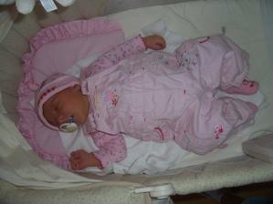 a tohle je naše štěstíčko, které jsme spodili asi měsíc po svatbě a 21.3.2008 se nám narodila krásná, zdravá holčička Brambůrka (Barborka)