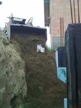 22.06.2010 konečne zahrňame