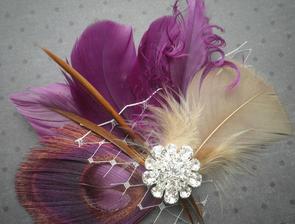 alebo taketo nieco http://www.etsy.com/listing/68225724/plum-love-purple-feather-hair-facinator