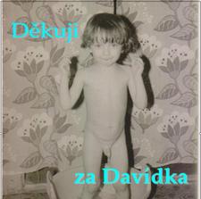 Poděkování rodičům - obrázek na dort