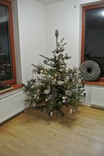 Letos zase po třech rokoch "nerozbitný" stromeček :-)