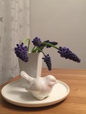 Nové talíře - porcelán je moje slabost