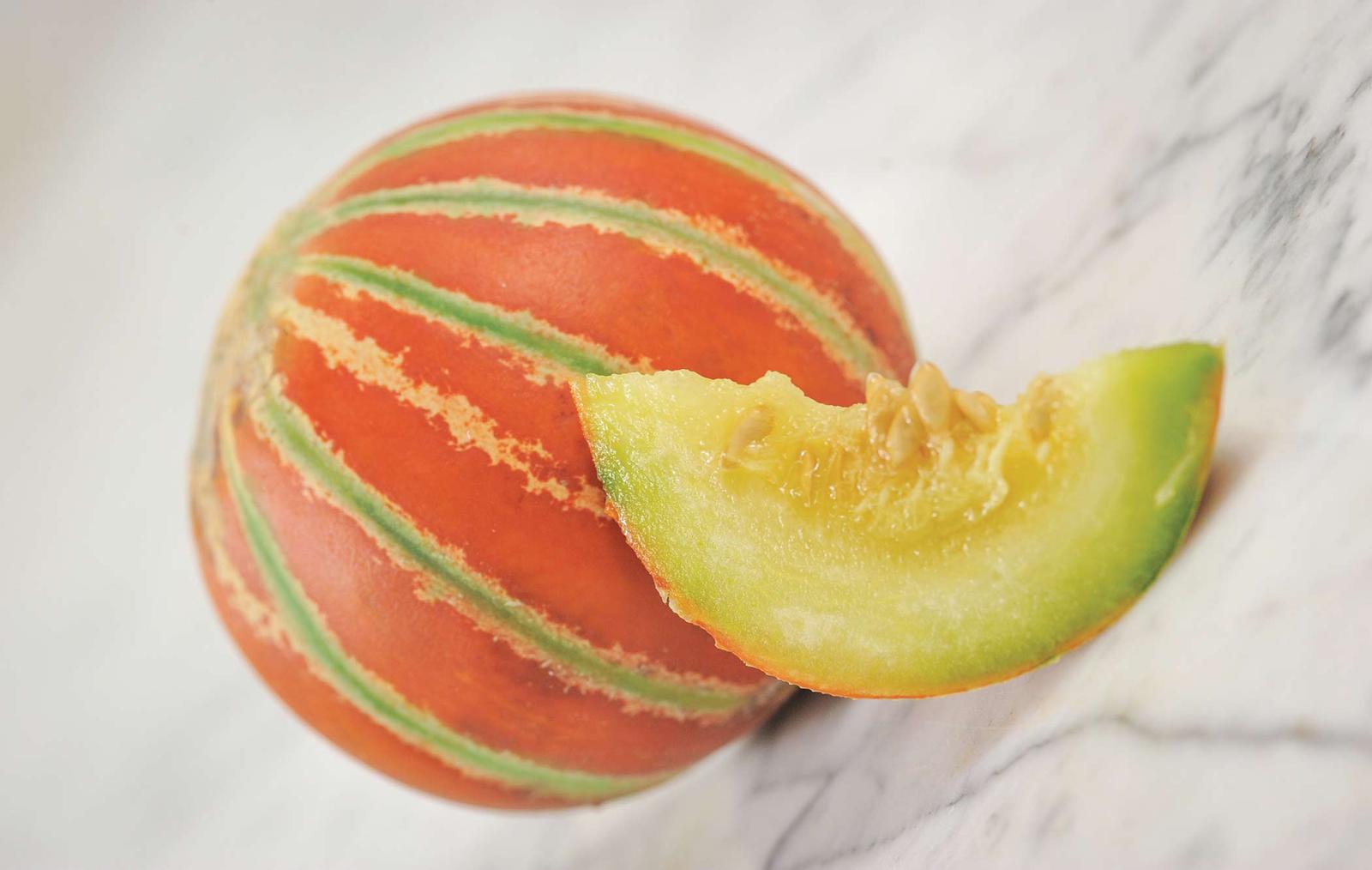 Melón kajari Bazár Záhrada.sk