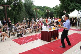 Barmanská show.