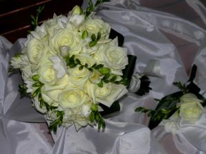 alebo možno také to niečo + kde-tu zelená orchidea