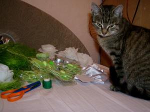 micka postrazi...:o)))