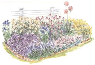 http://www.gradinamea.ro/A_full_sun_corner_in_the_garden_3407_587_1.html