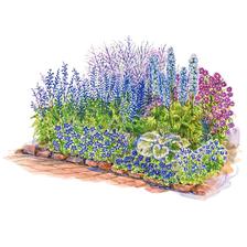 http://www.bhg.com/gardening/plans/colorful/blue-theme-garden-plan/