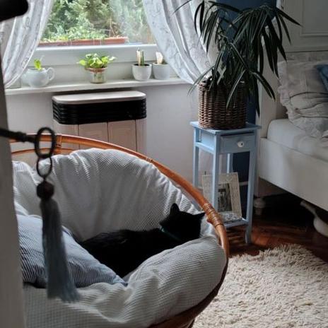 Práce na chalupe pred a po