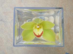 som zvedavá koľko hodín vydrží orchidea vo vode
