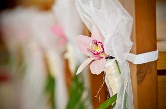 mašle s orchideou na laviciach v kostole