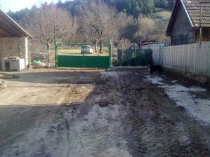 Teraz máme zrazu toľko svetla na dvore