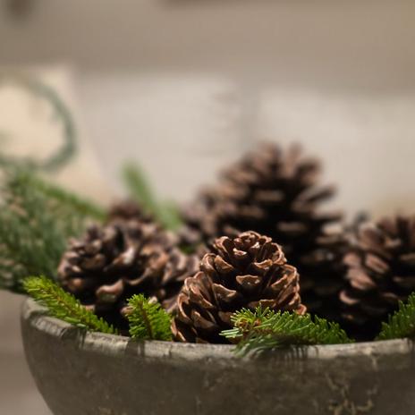 Advent a Vianoce 2025