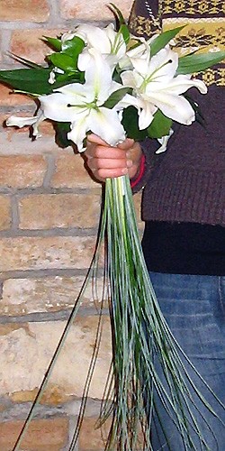 F&F 23.7.2011 - jen 3 květy bílé,královské lilie a zelené lístí k tomu...svázané sisalem