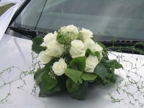 chceli by sme taku dekoraciu, ktora by sa dala najskor na vchodove dvere a potom by sa pripevnila na auto..