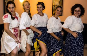 Kočky - kamošky sa chystajú na čepčenie.