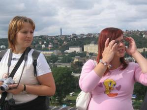 Tak tam to stoji za pohlad.