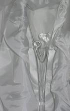 detail na srdiečka