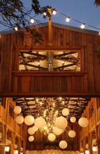 lights