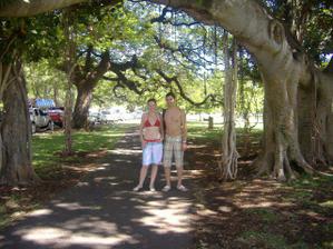 Hawai, Waikiki beach -raj na zemi