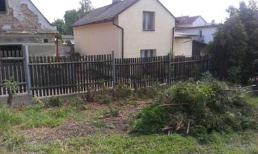 susedia sa smejú, že pozemok sa nám stále zväčšuje :-) Výrub pokračuje