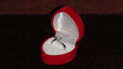 A takto sa to celé začalo. Takýmto krásnym prstienkom ma miláčik nanajvýš romanticky prekvapil