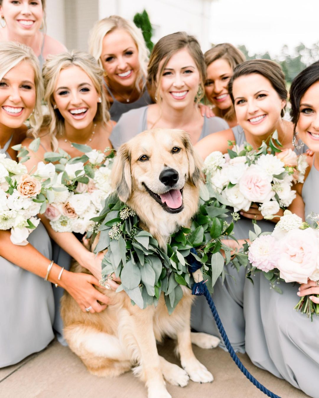 10 fotiek psíkov na svadbe, ktoré ti zlepšia deň! :) - Obrázok č. 1