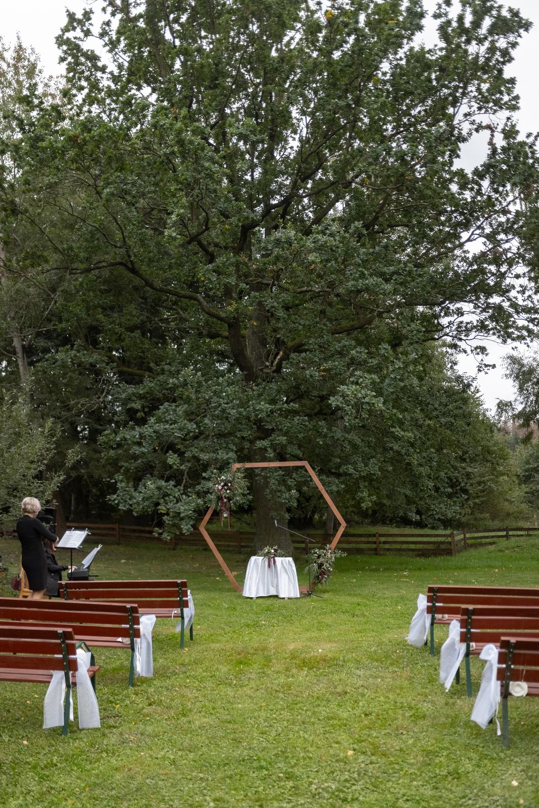 svatební slavobrána dřevěná - hexagon - Obrázek č. 1