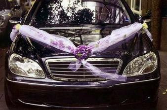 skoda ze nase auto je modre...preto budeme mat zrejme toto v bielom