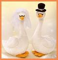 Svadobné vecičky - svadobné labute - milunké
