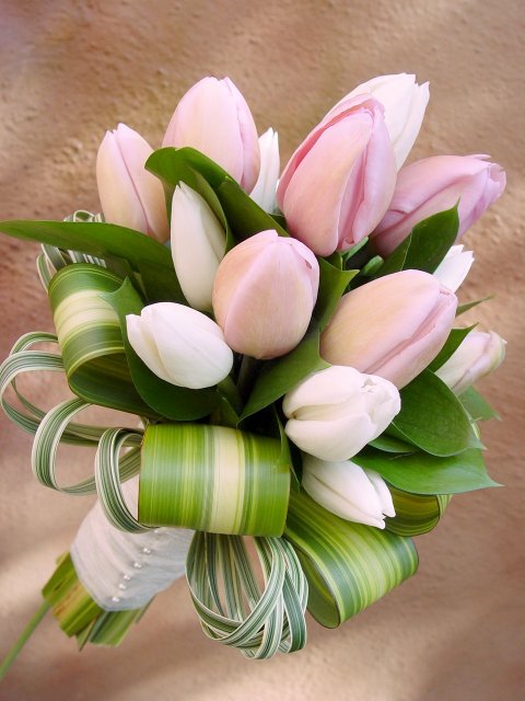 Lucie a Jakub - Oblíbené tulipány