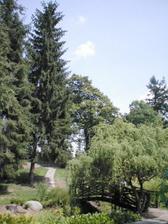 ...a tady bude svatba...Dendrologická zahrada u Průhonického zámečku