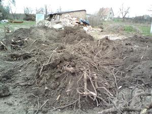 27.03.2010 vytrhávanie korenov na pozemku.... bolo ich neúrekom