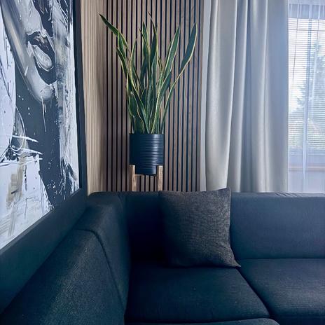 Niečo z  nášho domu a mojej tvorby