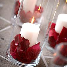 ve fialove