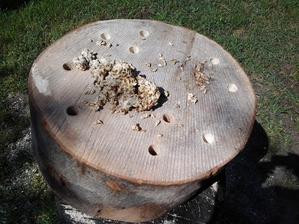 A sadbu som potom naplnil do vyvŕtaných dier.