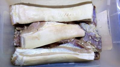 Dôkladne potreté zmesou soli, práškového cukru, mletého kmínu a cesnaku. Takto ostane naložený 3 dni a potom pôjde na desať dní do slaného nálevu.