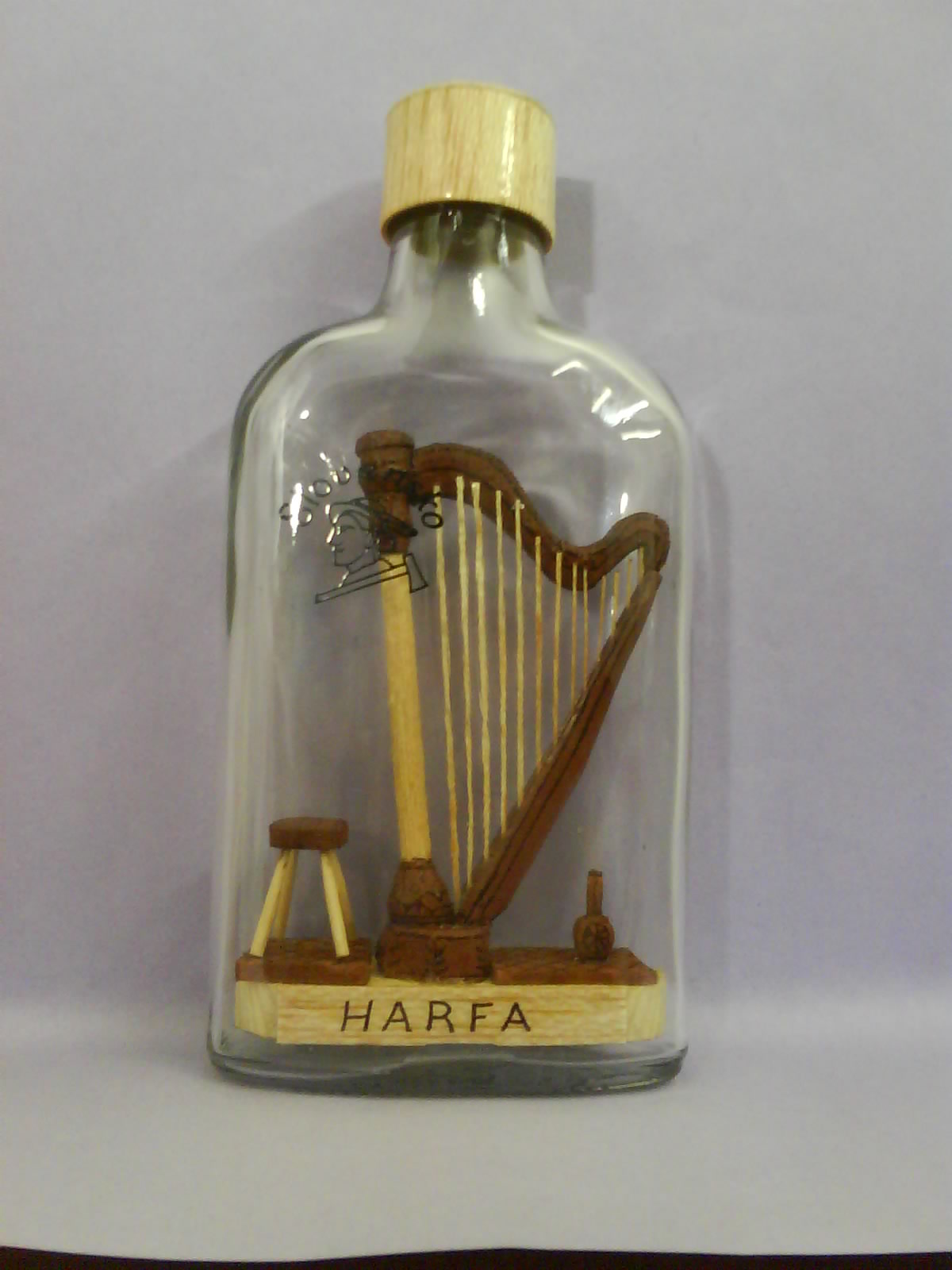 harfa vo flasi - Obrázok č. 1