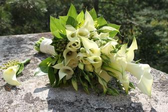 kala, eustoma a salal