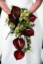 anturie, orchidej, břečťan